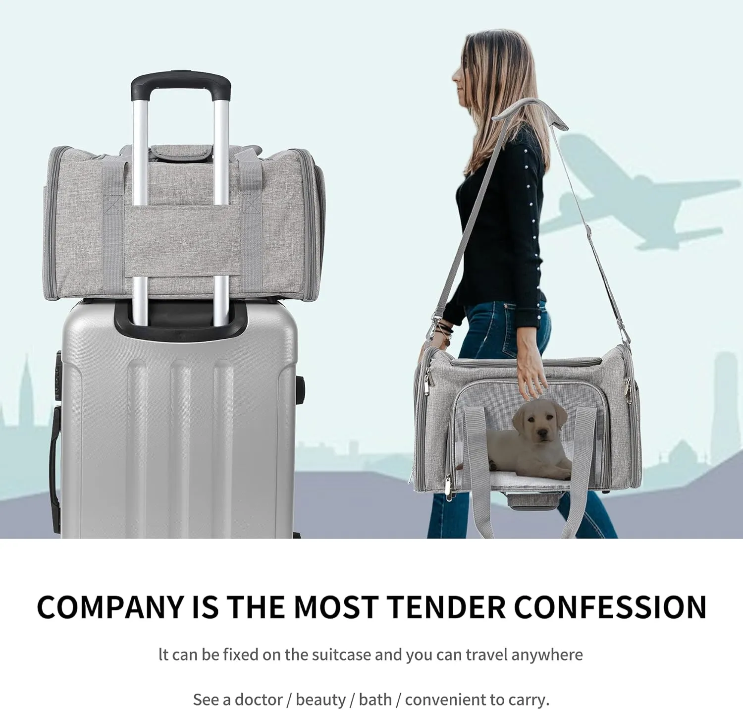 Mile High Life | Outdoor Travel Pet Carrier | Kitty Puppy Cat Carriers | Collapsible Dog Carrier for Small Medium Dogs | Cat Crates w Breathable Mesh with Soft-Sided (Grey, Large)