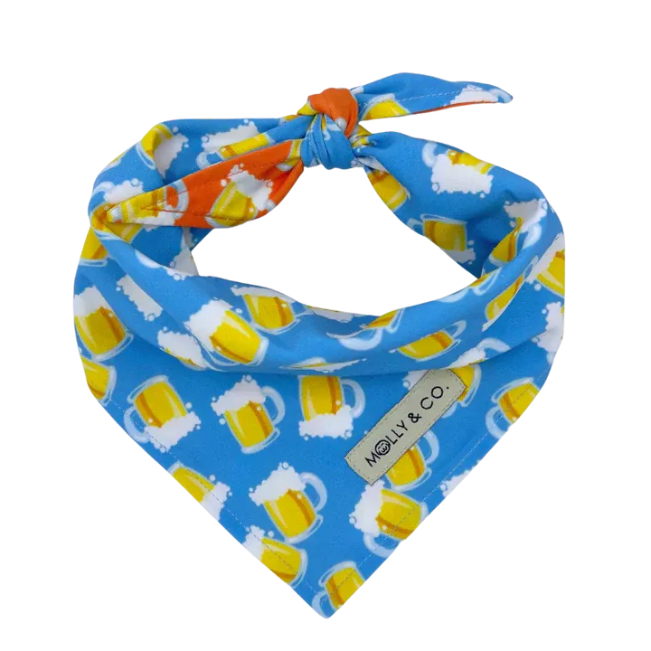 MOLLY & CO. - Reversible Dog Bandana- Beers