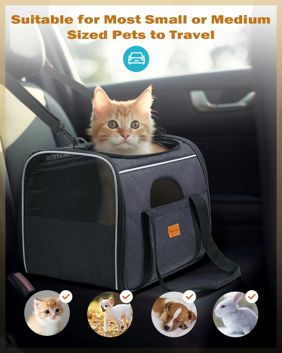 Morpilot Cat Carrier - Soft Sided Cat Carrier Large for Big Medium Cats and Puppy up to 18lbs, Pet Carrier with Safety Zippers, Foldable Bowl, Airline Approved Large Dog Carrier - Dark Gray
