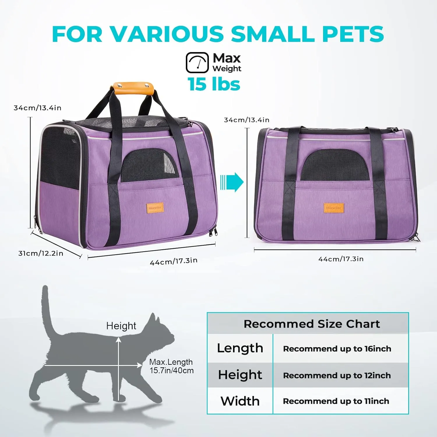 Morpilot Cat Carrier - Soft Sided Cat Carrier Large for Big Medium Cats and Puppy up to 18lbs, Pet Carrier with Safety Zippers, Foldable Bowl, Airline Approved Large Dog Carrier - Purple