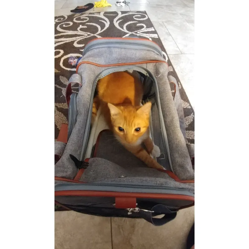Mr. Peanut's Gold Series Standard Size Airline Compliant Pet Carrier