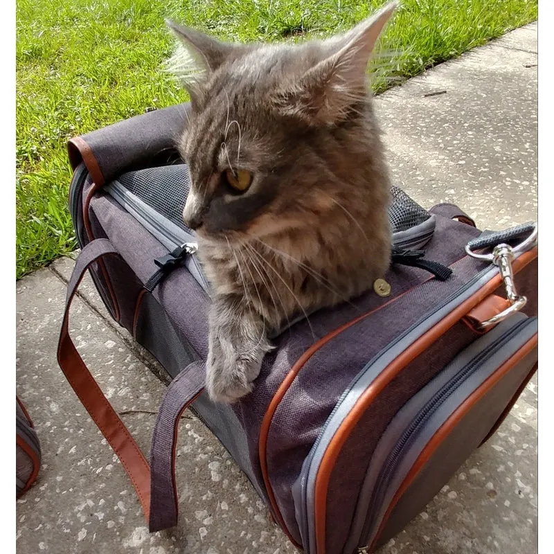 Mr. Peanut's Gold Series Standard Size Airline Compliant Pet Carrier