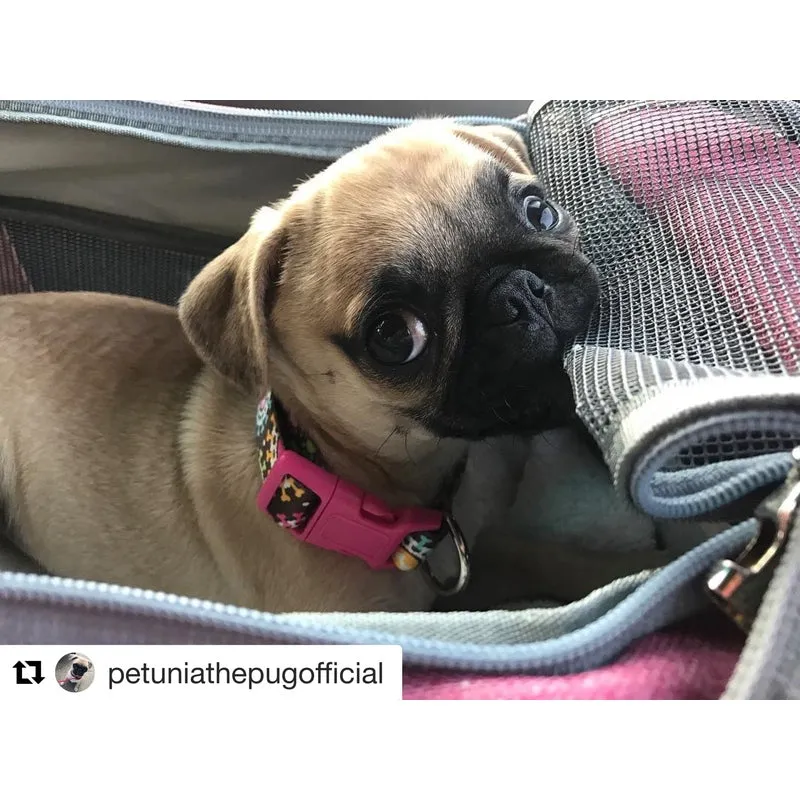 Mr. Peanut's Gold Series Standard Size Airline Compliant Pet Carrier