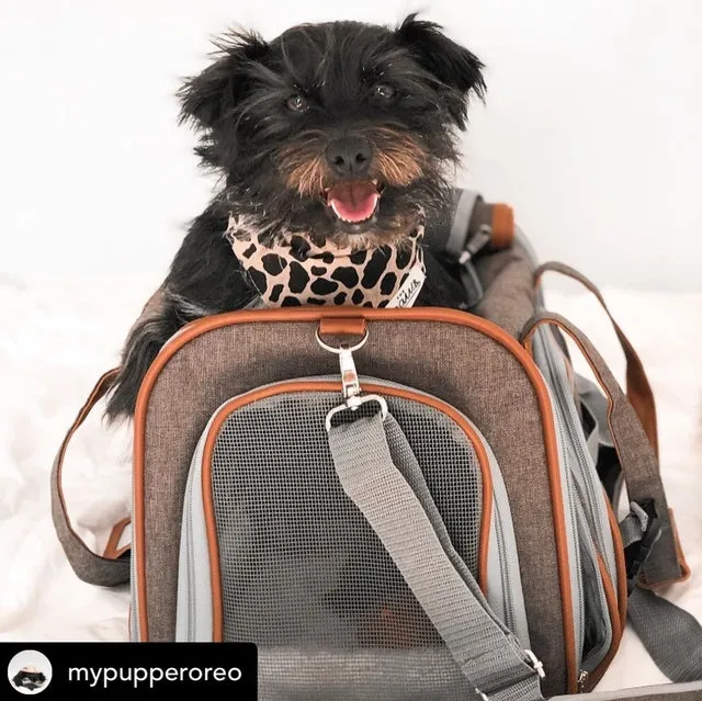 Mr. Peanut's Gold Series Standard Size Airline Compliant Pet Carrier
