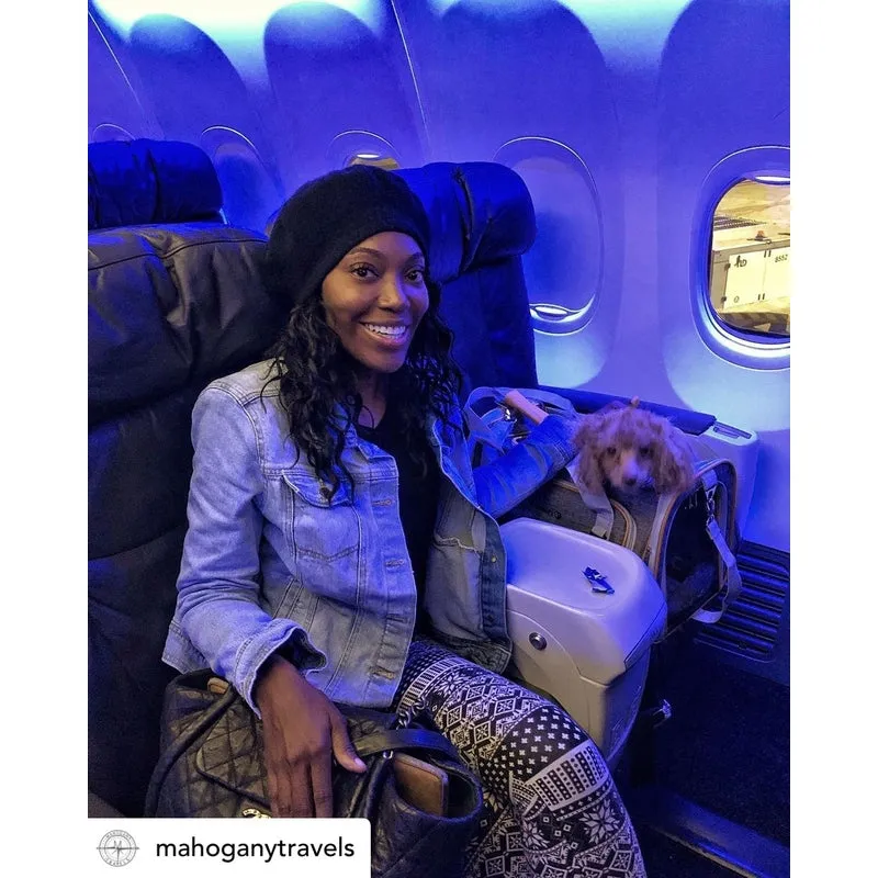 Mr. Peanut's Platinum Series Double Expandable Pet Carrier