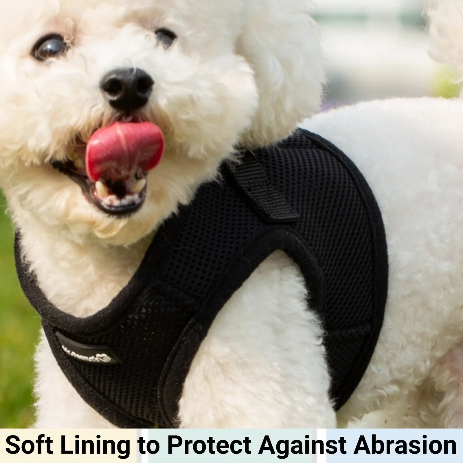 Mr. Peanut's PupTrek Harness and Leash Set,  Small Dog/Cat Soft Mesh Step In Harness Vest