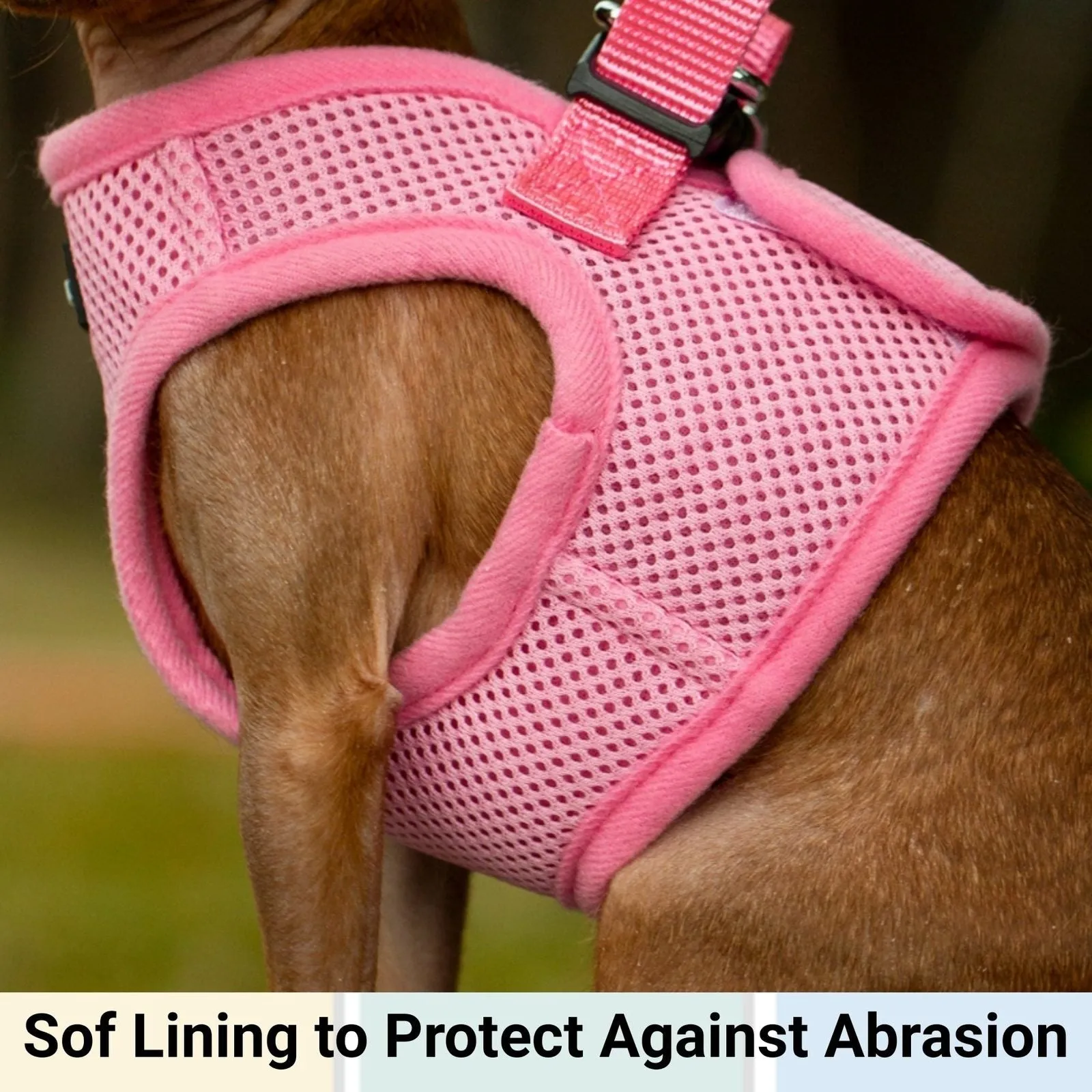 Mr. Peanut's PupTrek Harness and Leash Set,  Small Dog/Cat Soft Mesh Step In Harness Vest