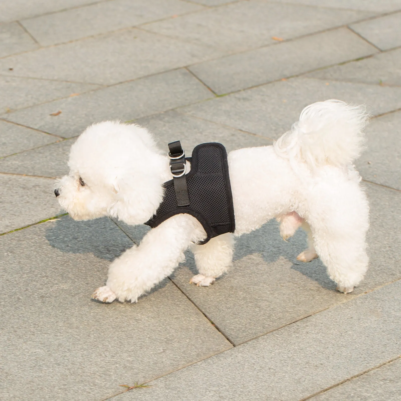 Mr. Peanut's PupTrek Harness and Leash Set,  Small Dog/Cat Soft Mesh Step In Harness Vest
