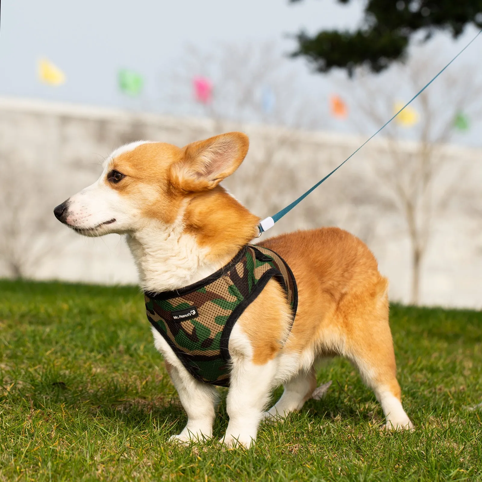 Mr. Peanut's PupTrek Harness and Leash Set,  Small Dog/Cat Soft Mesh Step In Harness Vest