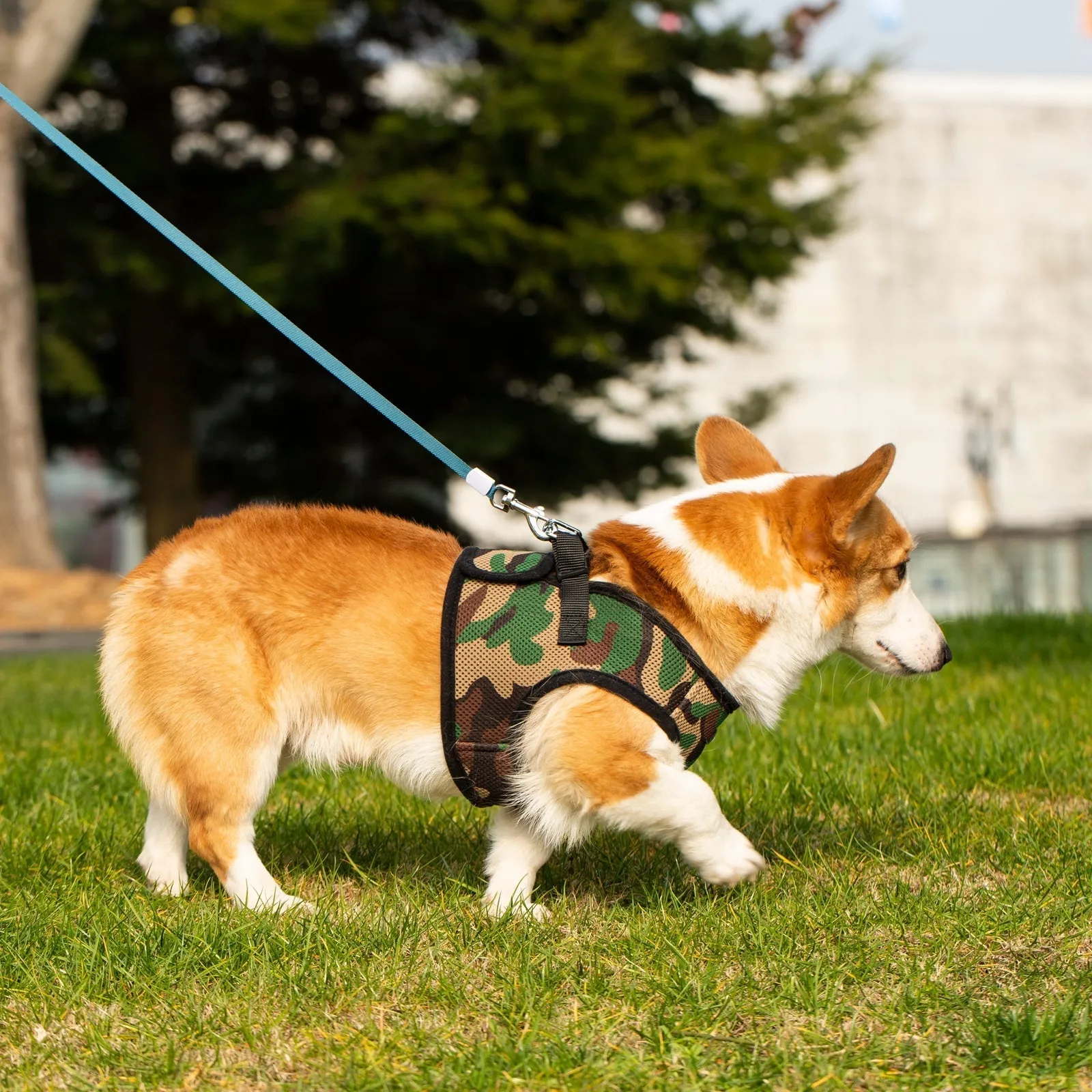 Mr. Peanut's PupTrek Harness and Leash Set,  Small Dog/Cat Soft Mesh Step In Harness Vest