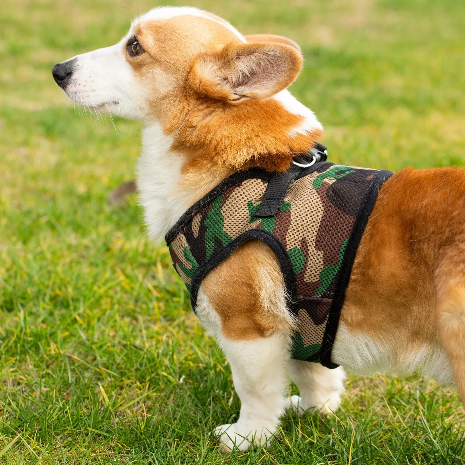 Mr. Peanut's PupTrek Harness and Leash Set,  Small Dog/Cat Soft Mesh Step In Harness Vest
