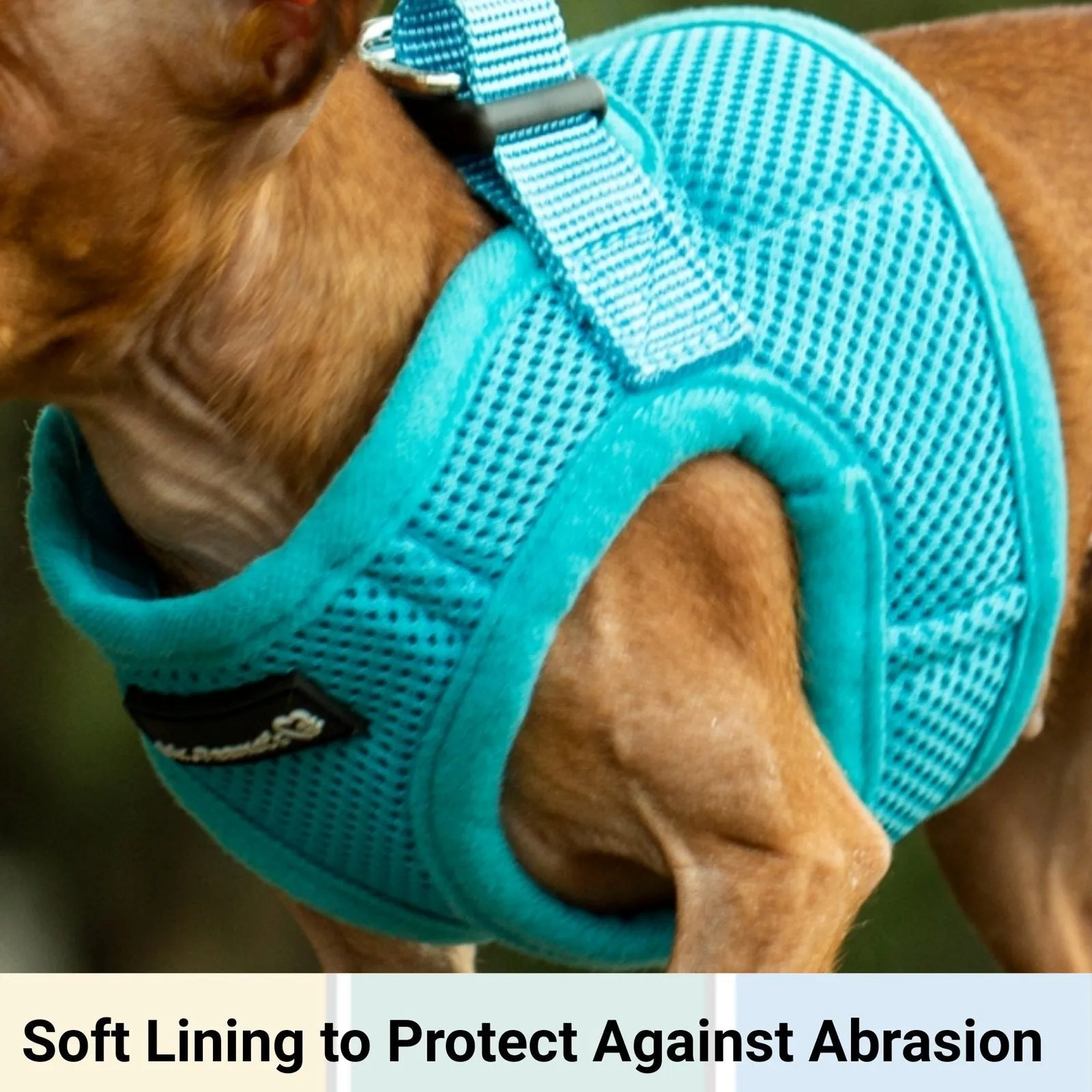 Mr. Peanut's PupTrek Harness and Leash Set,  Small Dog/Cat Soft Mesh Step In Harness Vest