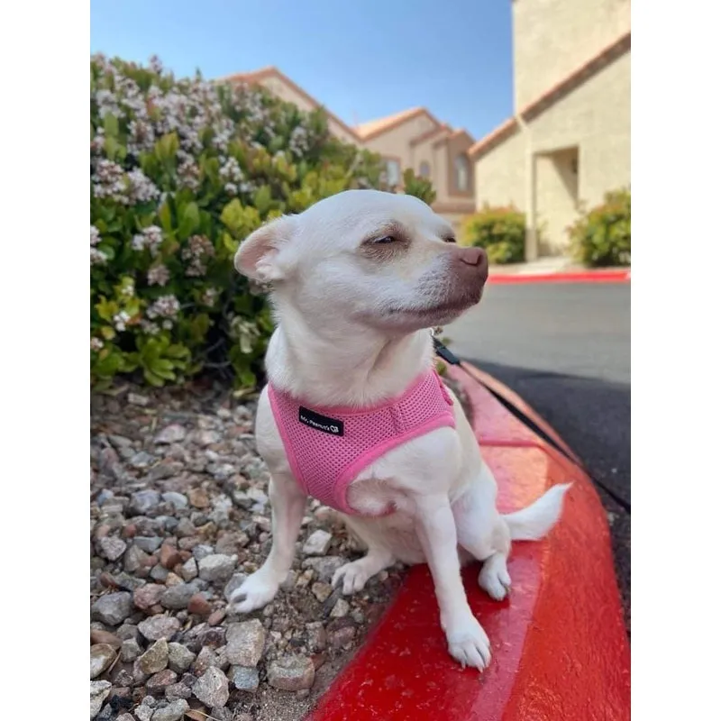 Mr. Peanut's PupTrek Harness and Leash Set,  Small Dog/Cat Soft Mesh Step In Harness Vest