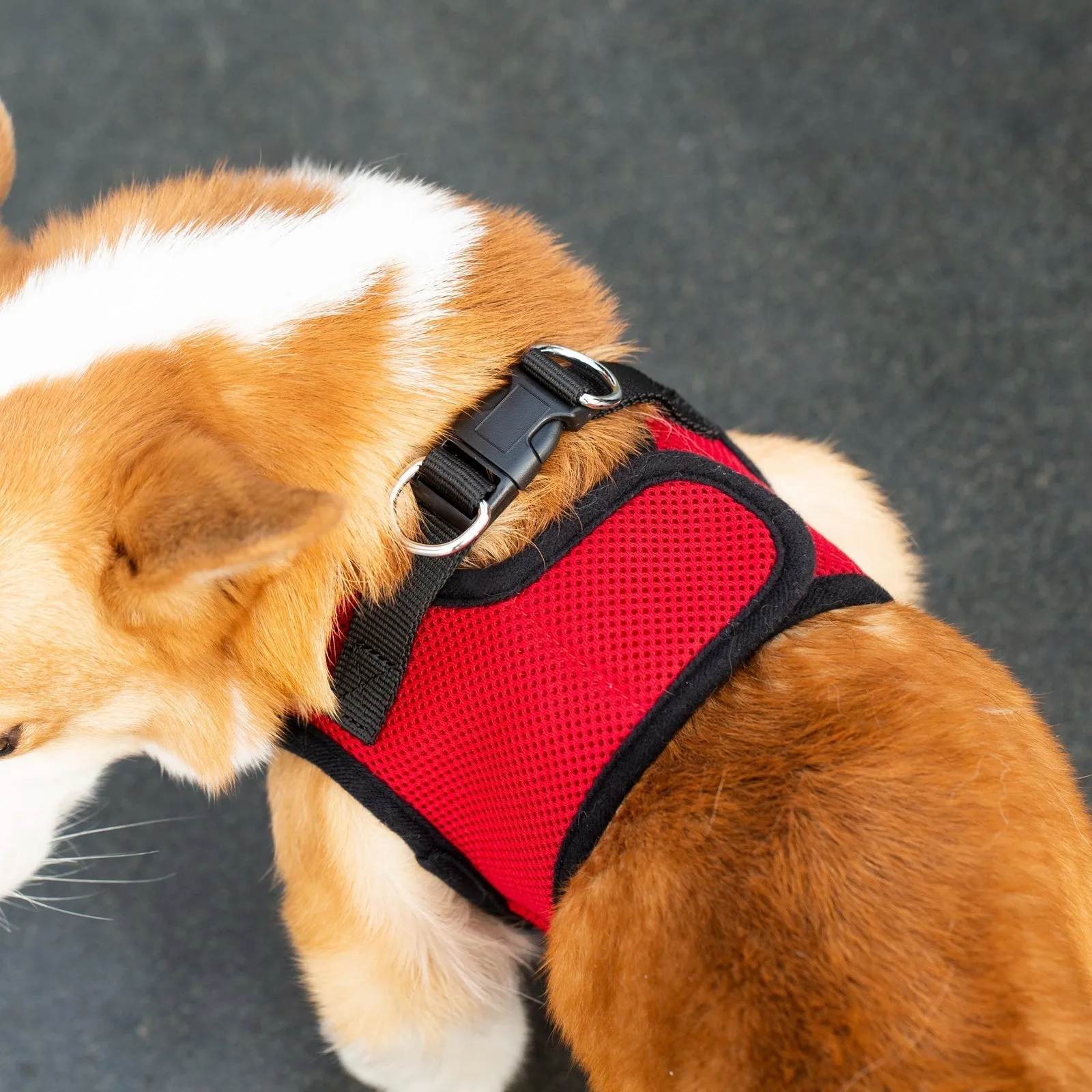 Mr. Peanut's PupTrek Harness and Leash Set,  Small Dog/Cat Soft Mesh Step In Harness Vest