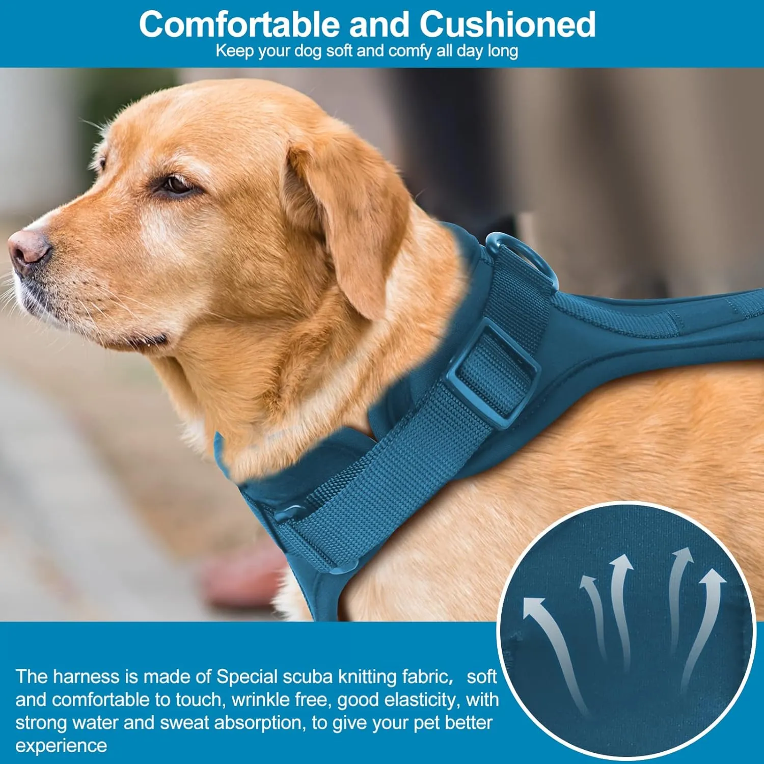 No Pull Lightweight Dog Harness: Adjustable Durable Breathable Mesh Pet Vest Harness with Soft & Comfortable Cushion, for Small Medium Large Dogs (XS, Navy)