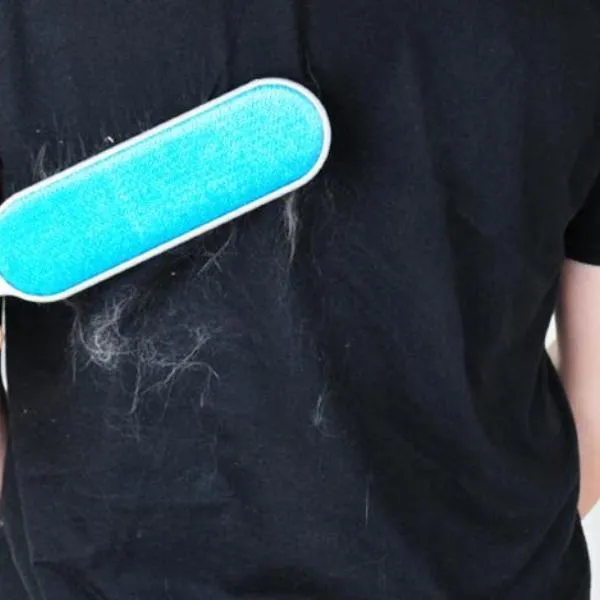 Original Pet Hair Remover Brush On Sale