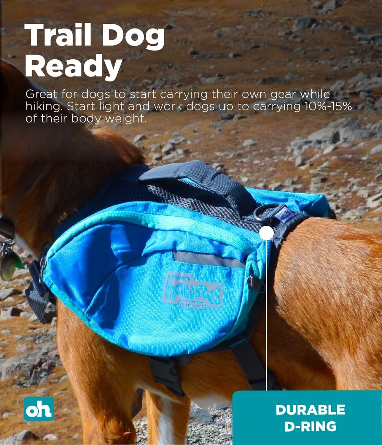 Outward Hound DayPak Blue Dog Saddleback Backpack, Medium