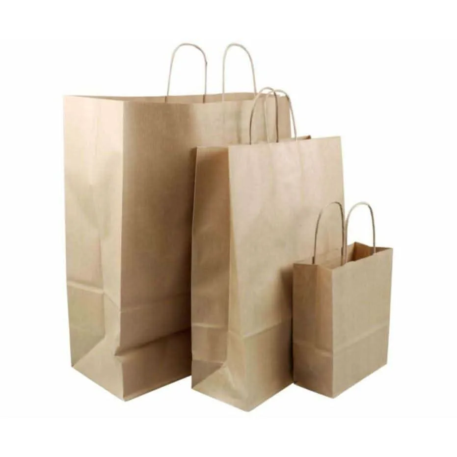 Paper Carry Bags (Brown) 19 x 25 x 8cm Small Size [100 Pack]