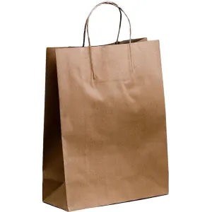 Paper Carry Bags (Brown) 19 x 25 x 8cm Small Size [100 Pack]