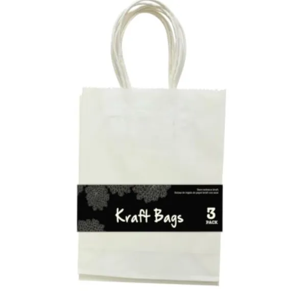 Party Bags | Pack of 3