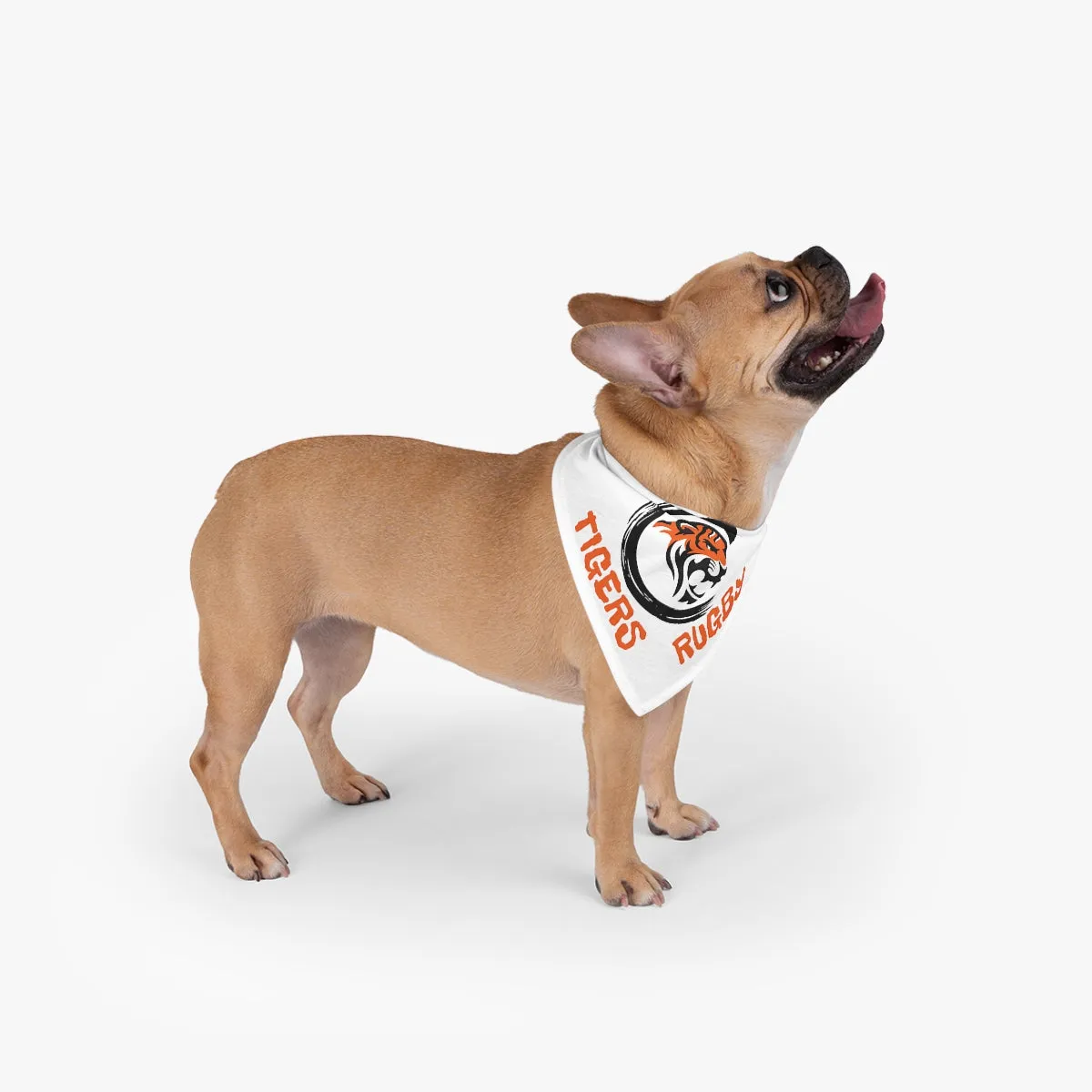 Pet Bandana