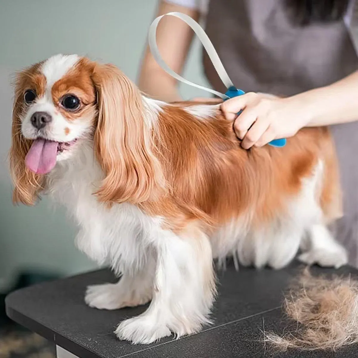 Pet Grooming Brush Cat Dog Shedding Comb Fur Remover Cleaner Tool Hair De-Shed