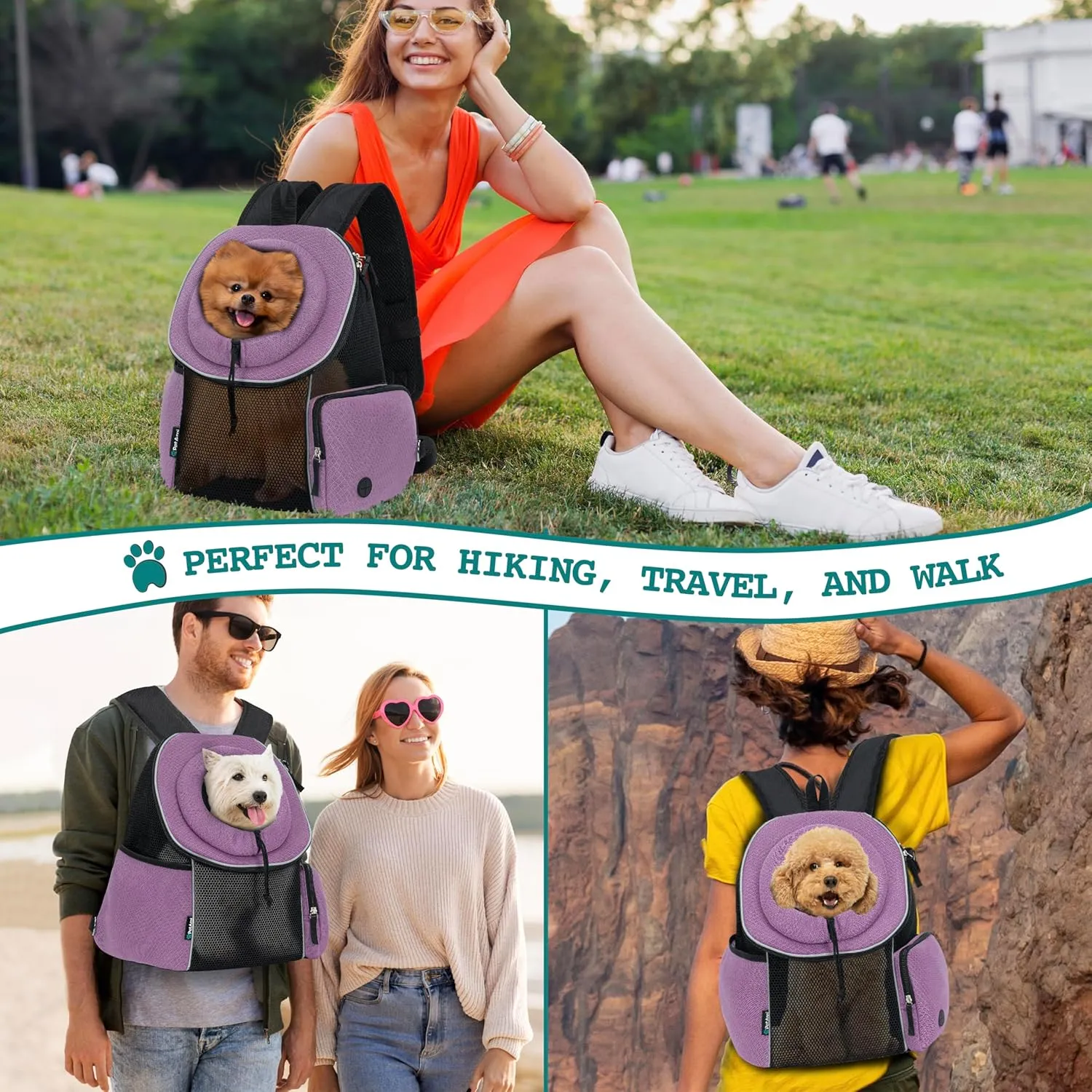 PetAmi Adjustable Cat & Dog Front Chest Carrier Backpack, Ventilated for Hiking & Camping, Max 10 lbs, Purple