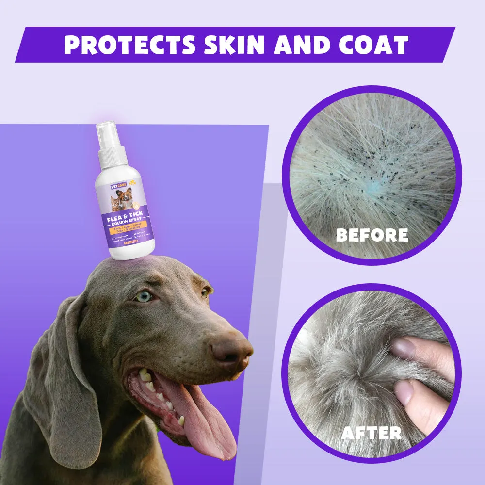 PetCare™ Flea & Tick Kolirin Spray 🔥 70% Limited Discounts