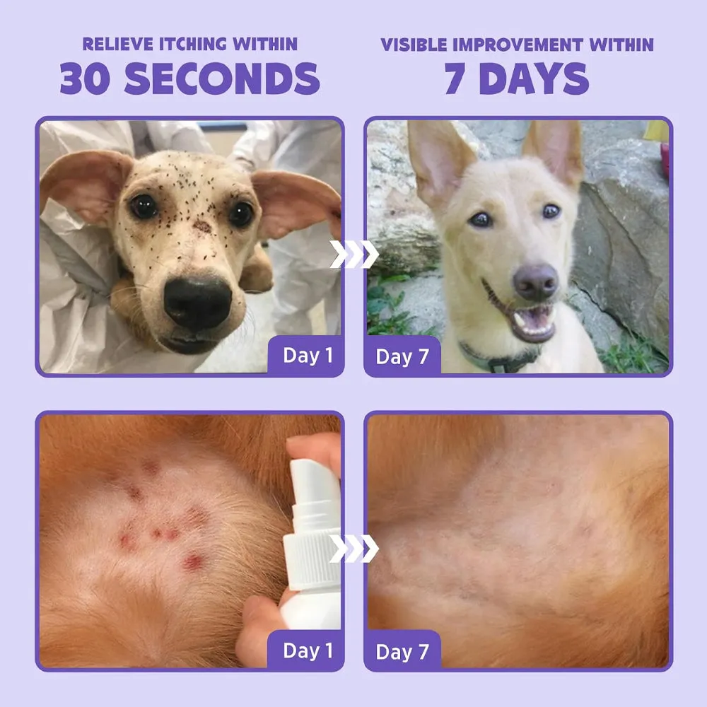 PetCare™ Flea & Tick Kolirin Spray 🔥 70% Limited Discounts