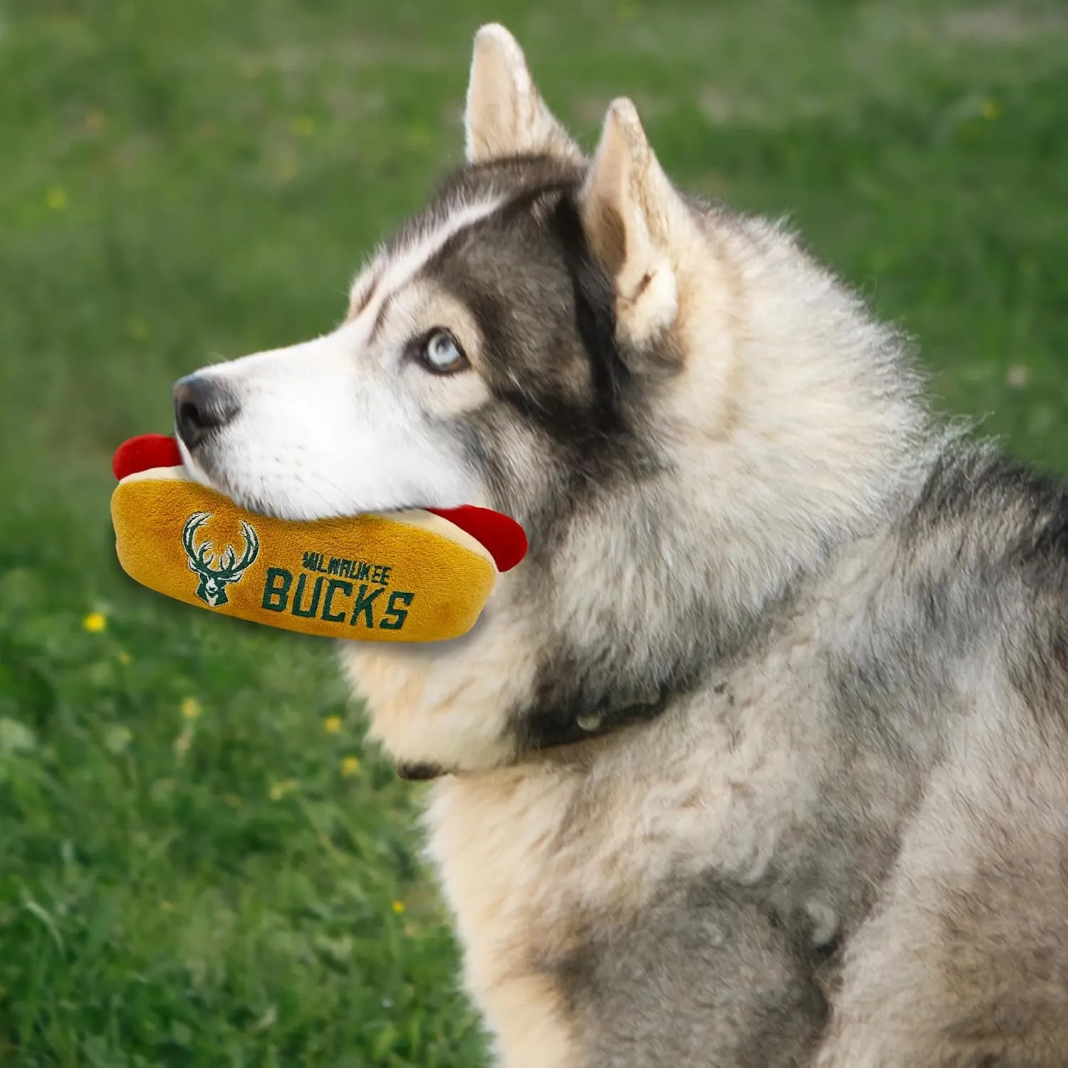 Pets First NBA Milwaukee Bucks HOT Dog Plush Dog & CAT Squeak Toy - Cutest HOT-Dog Snack Plush Toy for Dogs & Cats with Inner Squeaker & Beautiful Basketball Team Name/Logo