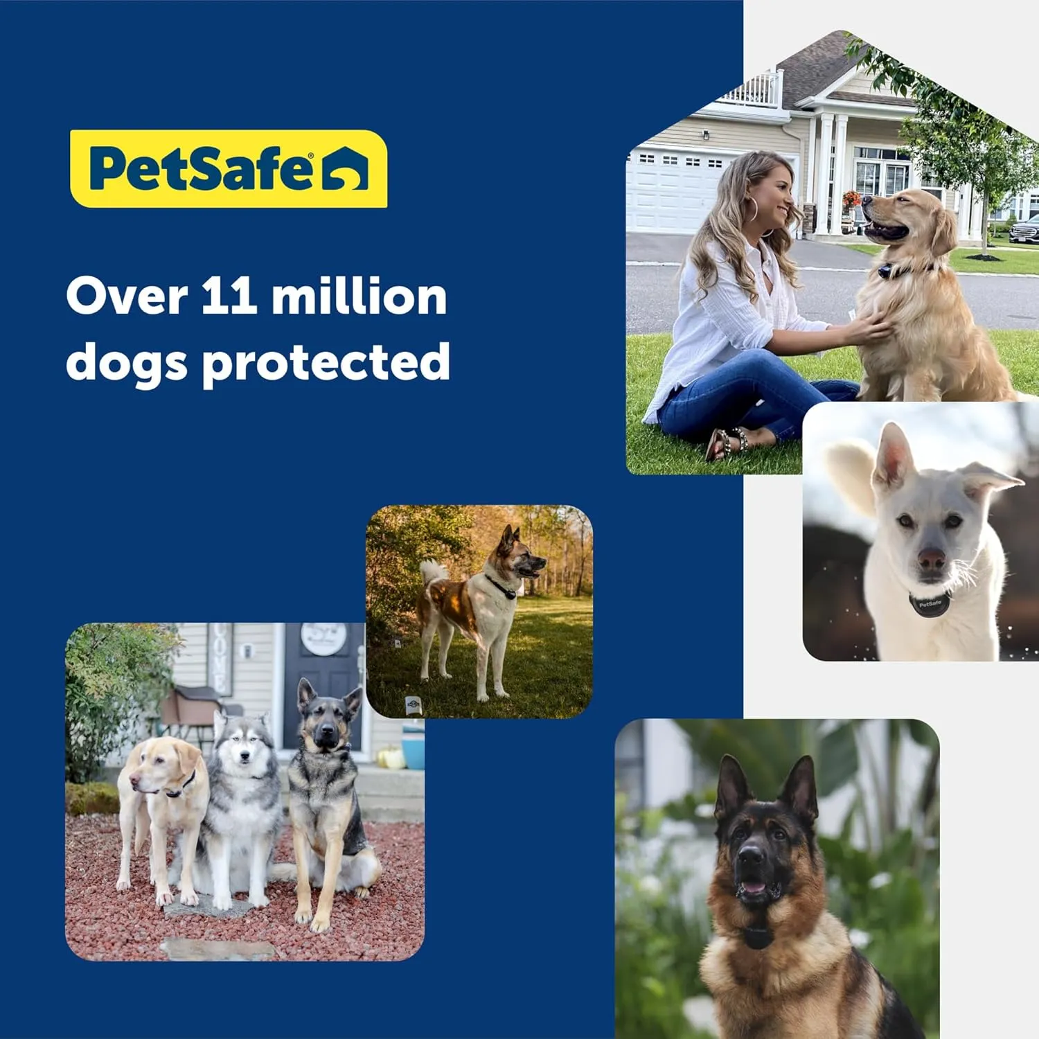 PetSafe Stubborn Dog Fence Collar - Dog Electric Collar Waterproof Receiver, Battery Operated, In Ground Containment for Pets, from The Parent Company of Invisible Fence Brand
