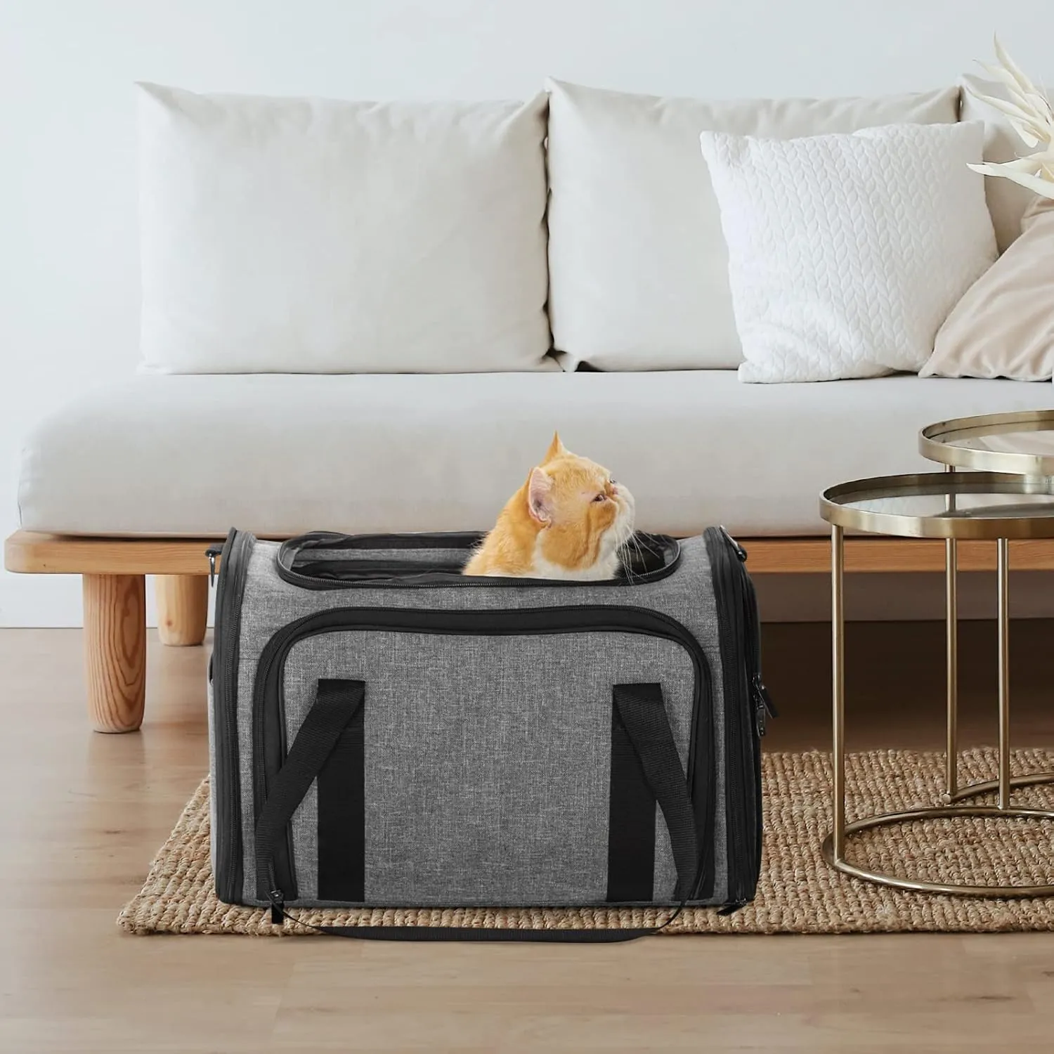 Petsfit 17" x 11" x 11" Expandable Pet Carrier Airline Approved for Travel, Maximum Pet Weight 15 Pounds, for Cat Kitten Puppy, Gray