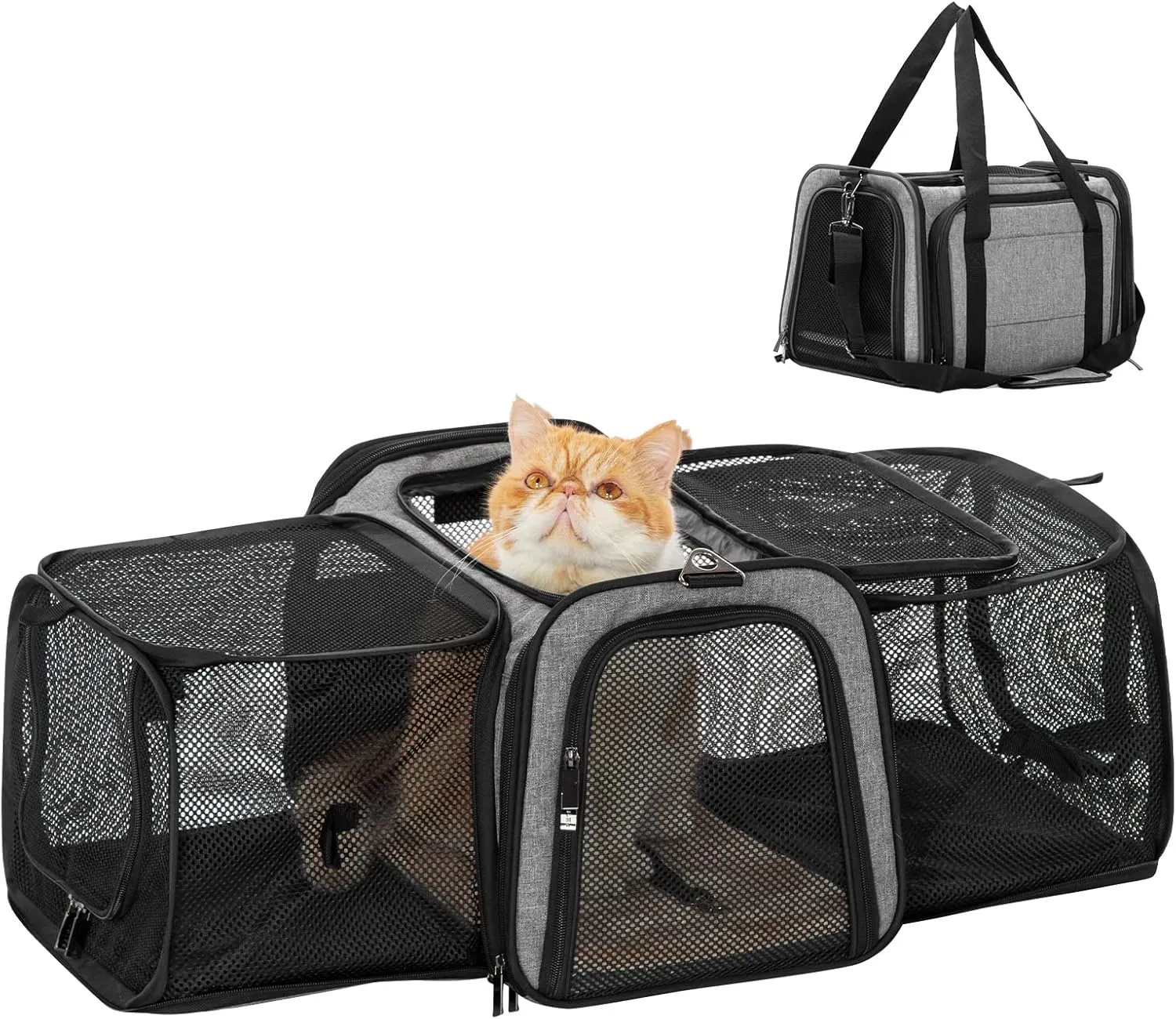 Petsfit 17" x 11" x 11" Expandable Pet Carrier Airline Approved for Travel, Maximum Pet Weight 15 Pounds, for Cat Kitten Puppy, Gray