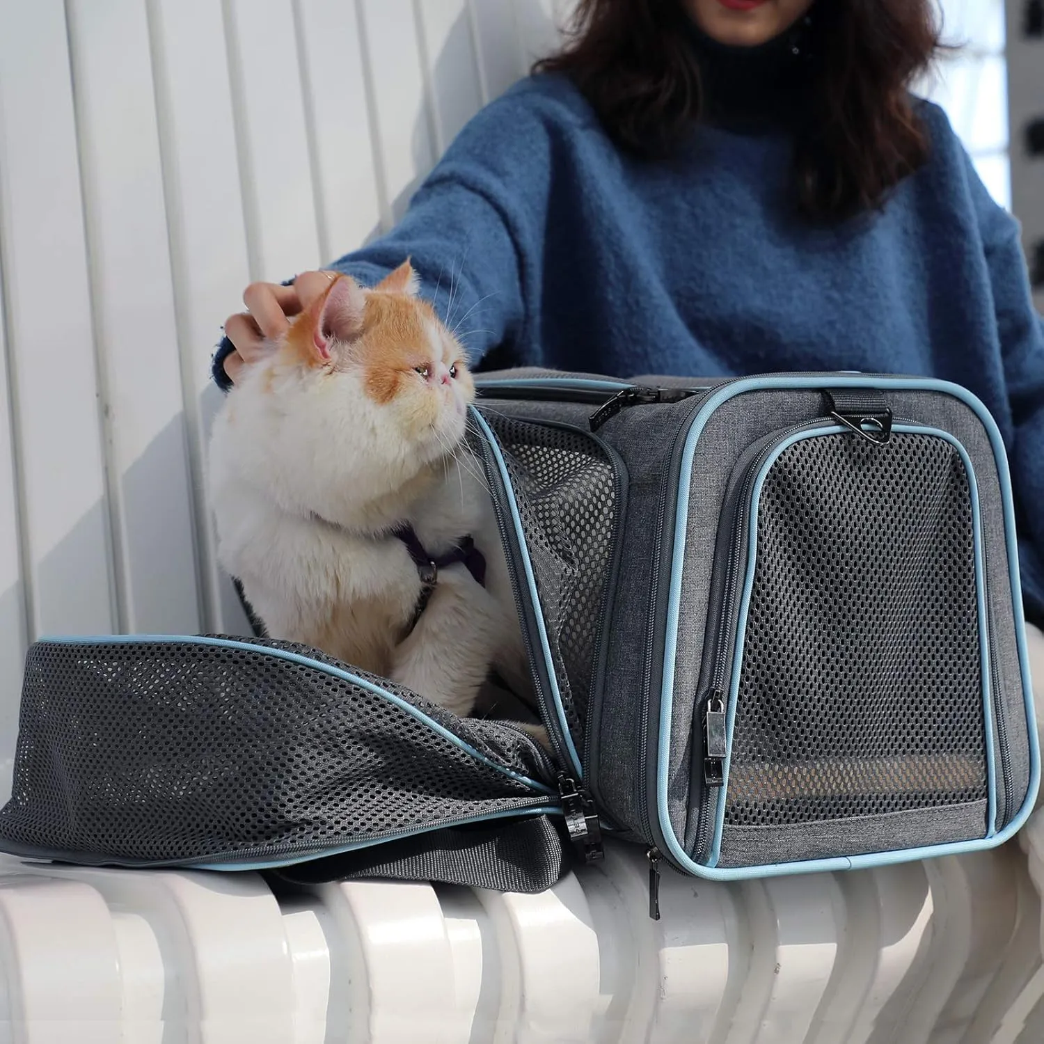 Petsfit Expandable Cat Carrier Dog Carriers,Airline Approved Soft-Sided Portable Pet Travel Washable Carrier for Kittens,Puppies,Removable Soft Plush mat and Pockets,Locking Safety Zippers