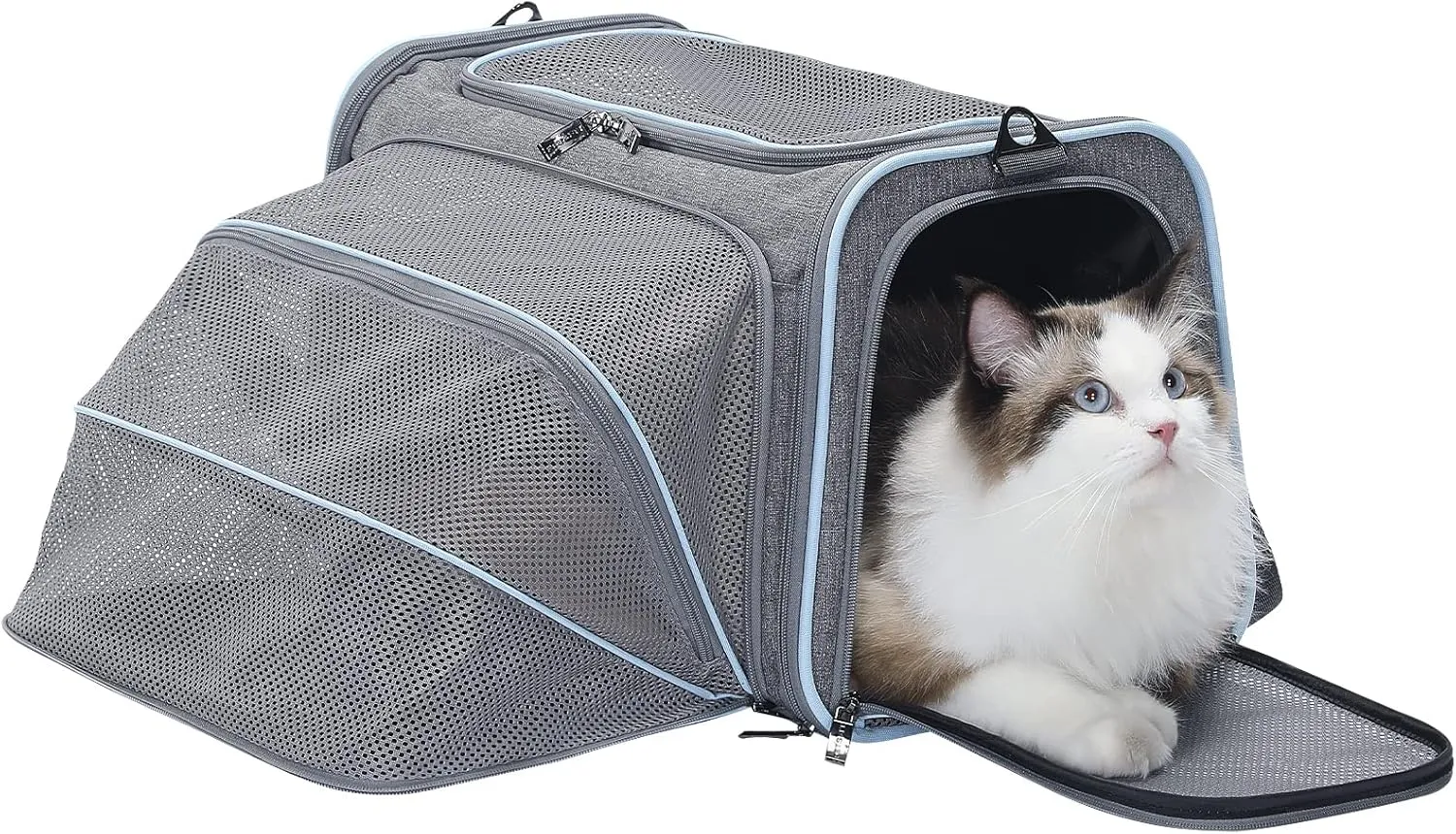 Petsfit Expandable Cat Carrier Dog Carriers,Airline Approved Soft-Sided Portable Pet Travel Washable Carrier for Kittens,Puppies,Removable Soft Plush mat and Pockets,Locking Safety Zippers