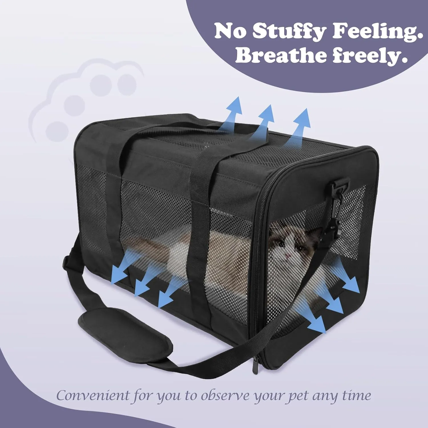 Prodigen Cat Carrier Dog Carriers for Small Dogs Soft Slided Airline Approved Collapsible Pet Travel Carrier, Small (16.3" L x 11.8" H x 12.4" W)