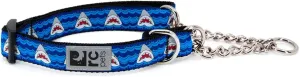 RC Pets 3/4" Martingale Training Collar, Small, Shark Attack