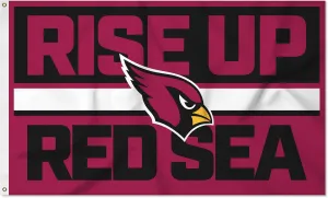 Rico Industries NFL Football Bold 3' x 5' Banner Flag Single Sided - Indoor or Outdoor - Home Décor