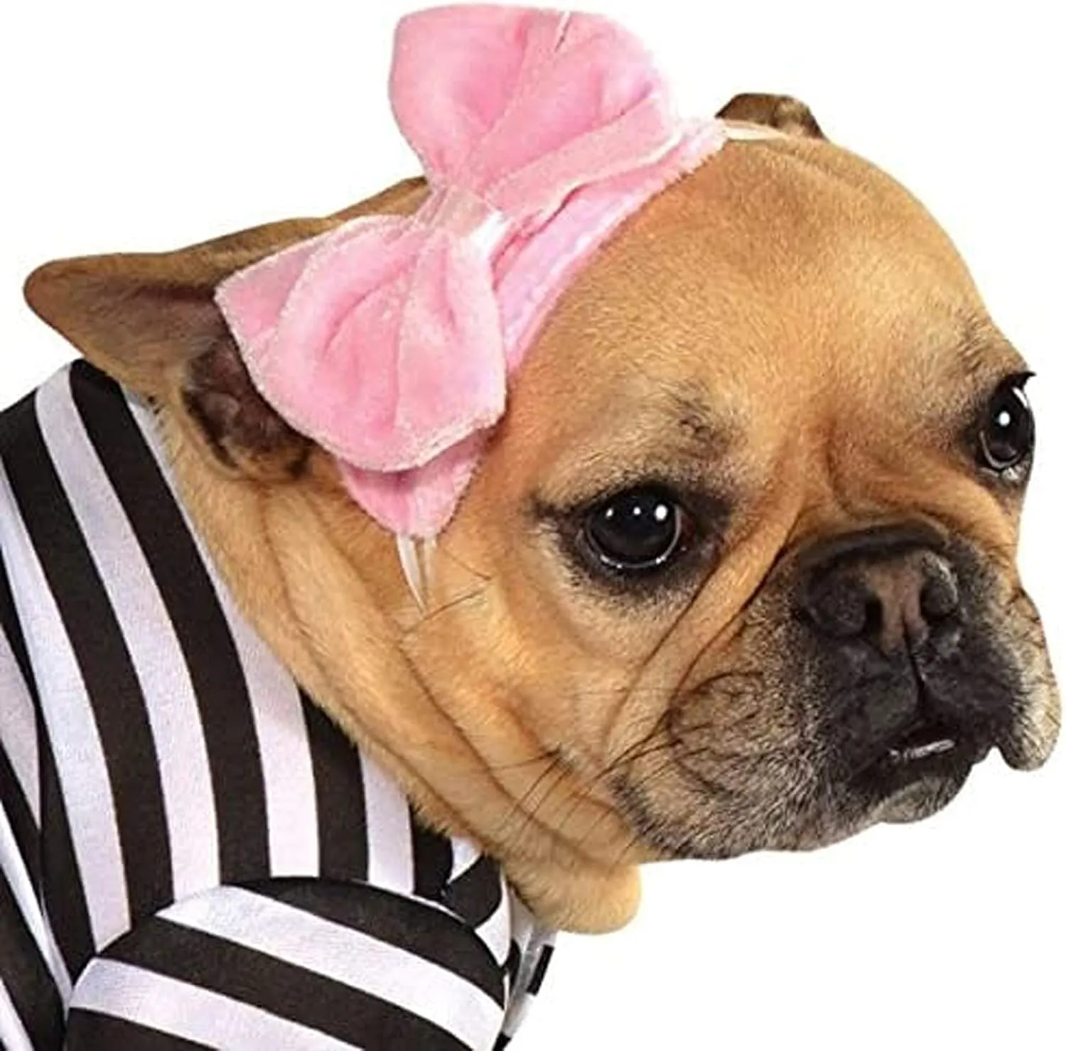 Rubie's 50s Girl Pet Costume, X-Large