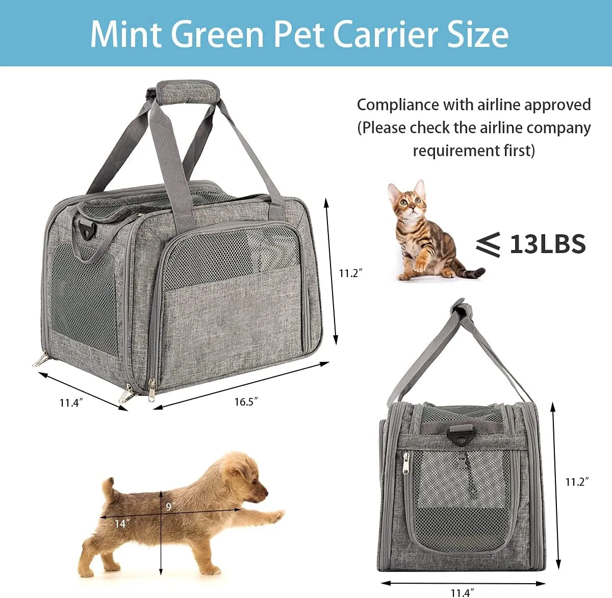 Secure platform carrier Soft pet Sided Huge selection