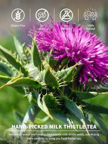 TeeLux Milk Thistle Tea Bags, 3g/bag, Natural Milk Thistle Seed Tea, Mild & Mellow Taste, Caffeine Free, 60 Count