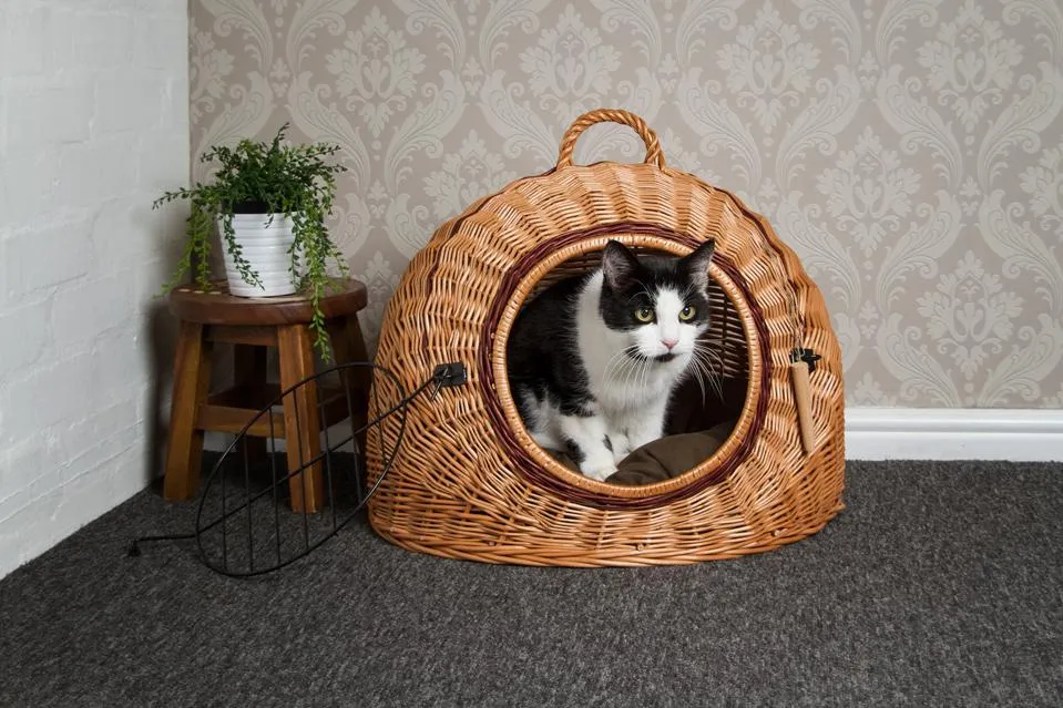 Wicker Pet Carrier Igloo with Pillow