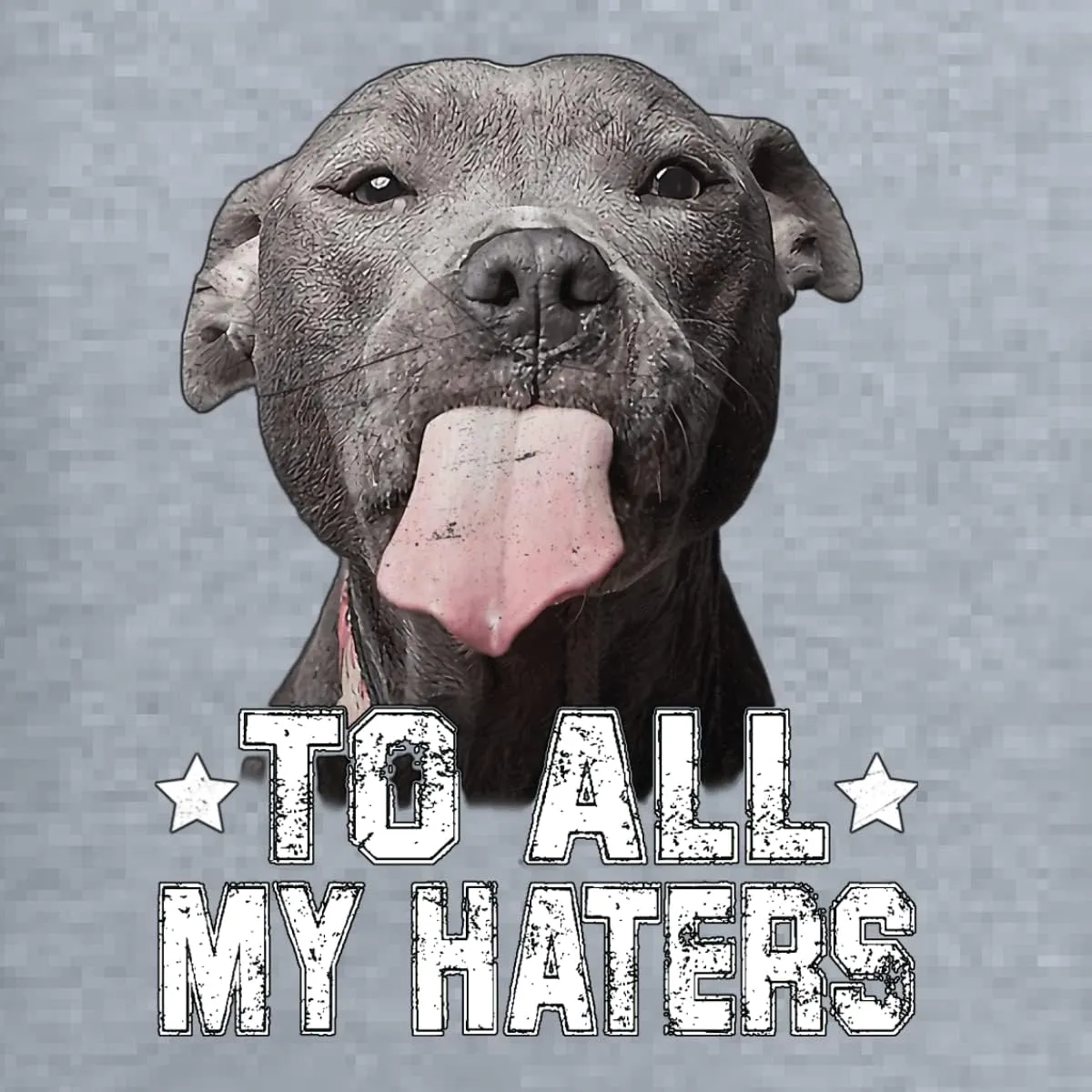 Wild Bobby Pitbull to all the Haters Funny Animal Lover Unisex Graphic Hoodie Sweatshirt