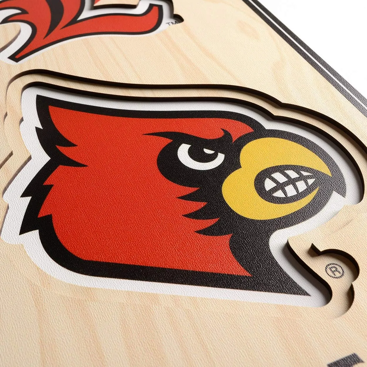 YouTheFan NCAA 3D StadiumView 8x32 Banner